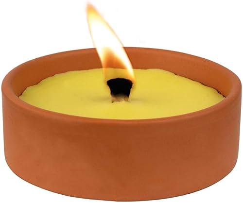 TERRA NOSTRA - Bougie Citronnelle - Lot de 3 Bougies en Terre Cuite Pour L'Extérieur - Protection de 5 Heures - Fabriqué Dans l'Union Européenne - Nail Gallerys
