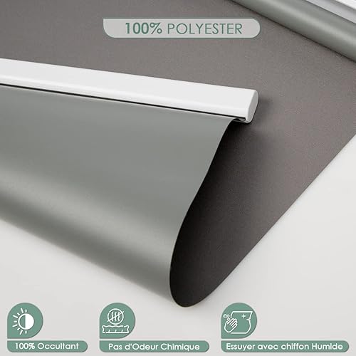 HOMEDEMO Stores Enrouleur Occultant Électriques M100, 60 x 150 cm, Gris Foncé - Nail Gallerys