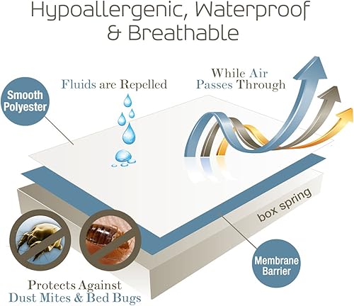 Housse de sommier tapissier à fermeture éclair pour lit Queen Size, étanche, certifiée en laboratoire, conçue pour une protection complète contre les punaises de lit, les acariens et les fluides, 22,9 - Nail Gallerys