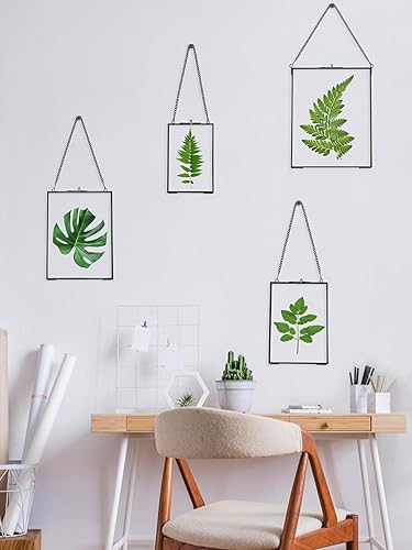 REDHUGO Cadres pour fleurs pressées, cadres flottants en verre pour afficher des spécimens de plantes séchées, photos, cadre photo en laiton avec chaîne suspendue, double verre clair, rectangle - Nail Gallerys