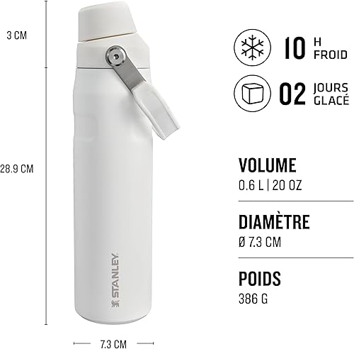 Stanley Aerolight IceFlow Fast Flow Gourde Sport Isotherme 0.6L - Froid Pendant 10 Heures - Couvercle Étanche et à Écoulement Rapide - Lavable au Lave-Vaisselle - Sans BPA - Frost - Nail Gallerys