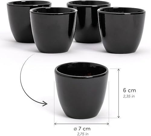 Lot de 4 pots d'intérieur en terre cuite blanche brillante | dimensions 7 x 6 cm | parfaits pour plantes succulentes, bonsaï, fleurs, pots décoratifs d'intérieur modernes pour maison, bureau, table - Nail Gallerys