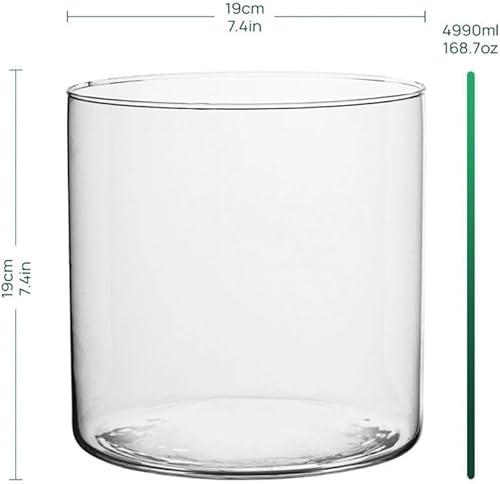 TREND FOR HOME Vase Cylindrique en Verre H: 15 cm Vase Fleur Pot Pourri Vase Rond en Verre Transparent Vase Minimaliste Vase Decoratif Recipient pour Bougies | ⌀ 15 cm | 2350 ML | Calen - Nail Gallerys