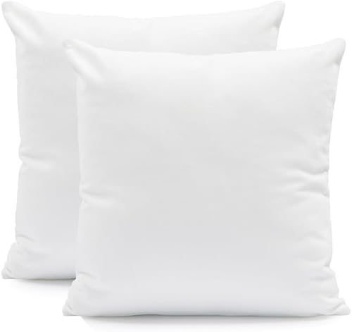 Alpes Blanc Oreillers Anti Acariens 60x60 (par Lot de 2) - Nail Gallerys