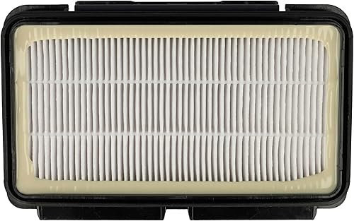 vhbw Filtre compatible avec Rowenta Silence Force Multicyclonic RO8364EA/410, RO8366EA/410 aspirateur - Filtre HEPA contre les allergies - Nail Gallerys