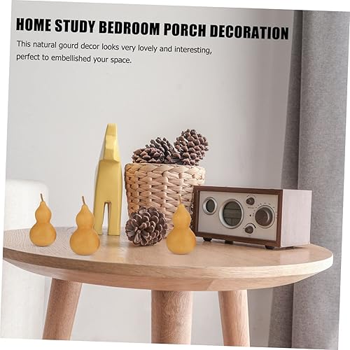 Ciieeo Lot De 3 Décorations en Calebasse Naturelle Fabriquées À Partir De Calebasse Séchée pour La Maison Et Le Bureau - Nail Gallerys