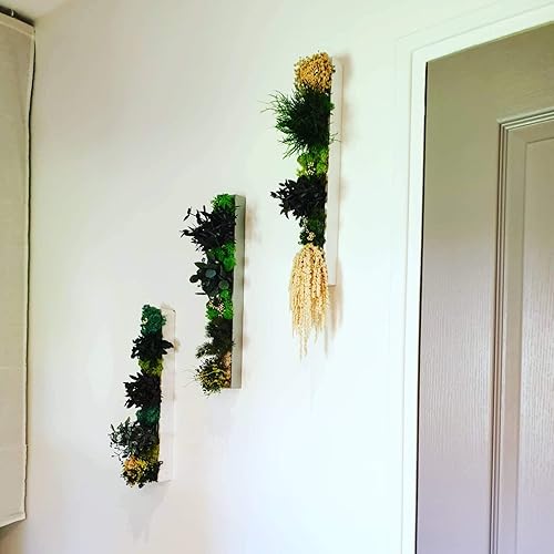 Tableau vegetale stabilisée murale 30 cm - Nail Gallerys