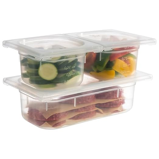 APS GN bacs polypropilène 26,5 x 16,2 cm, Tiefe: 100 mm Polypropylen, 2,5 Liter - Nail Gallerys