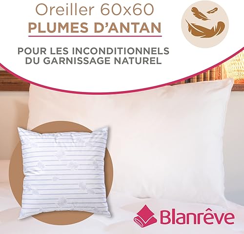 Blanrêve - Lots 2 Oreillers Naturels - Percale Tradition - Conforts Moelleux - Entretien Facile - Fabriqué en France - 60x60 cm - Nail Gallerys