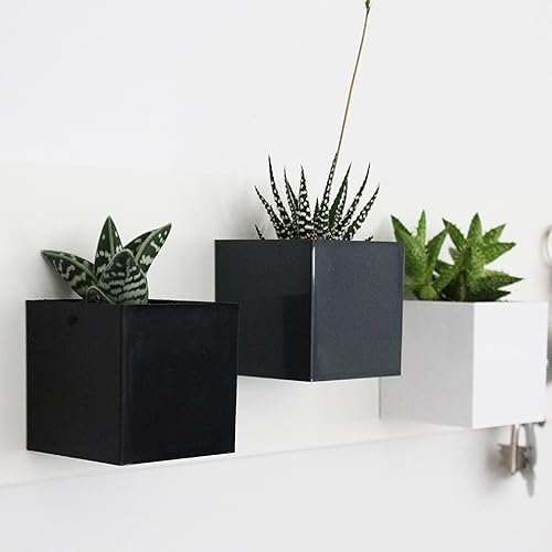 KalaMitica - Lot de 3 cubes magnétiques de 6,5 cm - Blanc, Plomb, Noir - Boîtes de rangement ou cache-pots magnétiques avec aimant puissant pour tableaux magnétiques muraux - Nail Gallerys