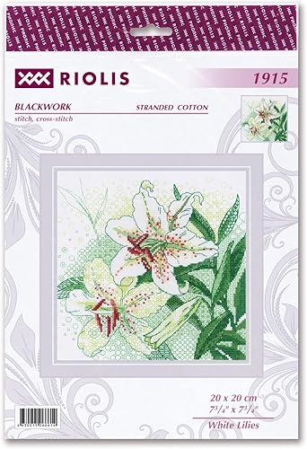 Riolis Kit de Broderie Blackwork, Multicolore, 20 x 20 cm - Nail Gallerys