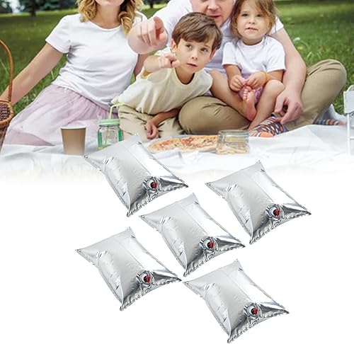 5 Pièces Bib Bag in Box Sacs pour Homebrew Stockage Vin Jus Eau Aluminisé 20L avec Vanne Papillon - Nail Gallerys