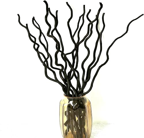 Branches de Saule Tortueux Branches de Saule Séché Remplisseur de Vase de Saule Séché Branches de Saule Bouclés 57cm Branches de Saule Bouclés pour décoration d'intérieur (Blanc) - Nail Gallerys