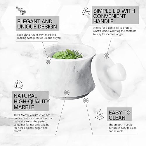 Flexzion Salière en marbre avec couvercle, récipient multifonction en marbre pour sel, poivre, paprika et herbes en poudre, boîte en marbre pour bijoux, montres et accessoires (blanc) - Nail Gallerys