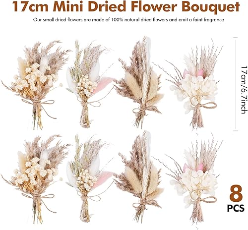8 Pieces Fleurs Séchées, Mini Bouquet Fleurs Séchées, Mini Fleurs Séchées, Fleur Sechees Decoration, Fleurs Séchées Naturelles pour Cadre Photo DIY, Décoration de Fête à Domicile et de Mariage - Nail Gallerys