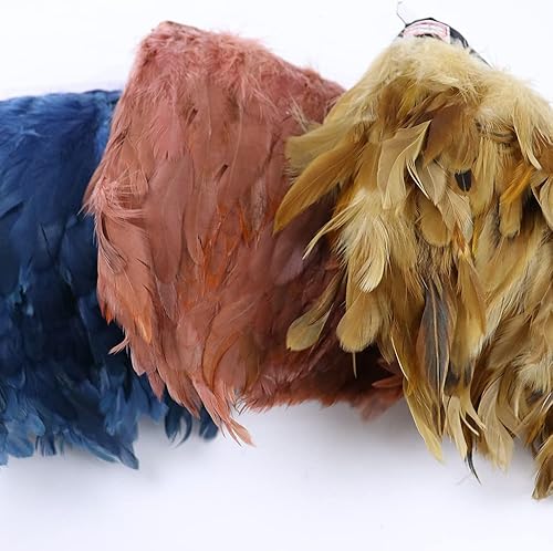 DYETEE Plumes de Coq Teintes 1 mètre, Ruban de Poulet, vêtements de Bricolage, Robe, Accessoires de Couture, Plumes pour l'artisanat - Nail Gallerys