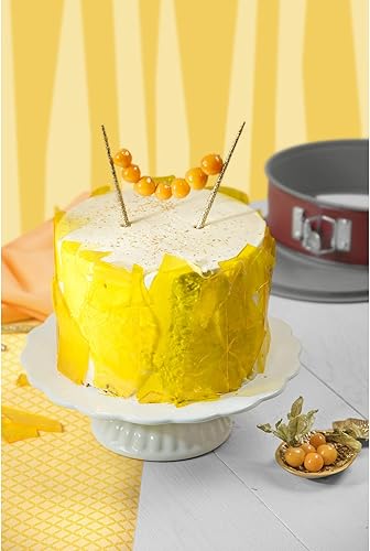 Kaiser 2300754420 Moule à manqué Classic Plus, Acier allié, Rouge et Argent, 26 cm - Nail Gallerys