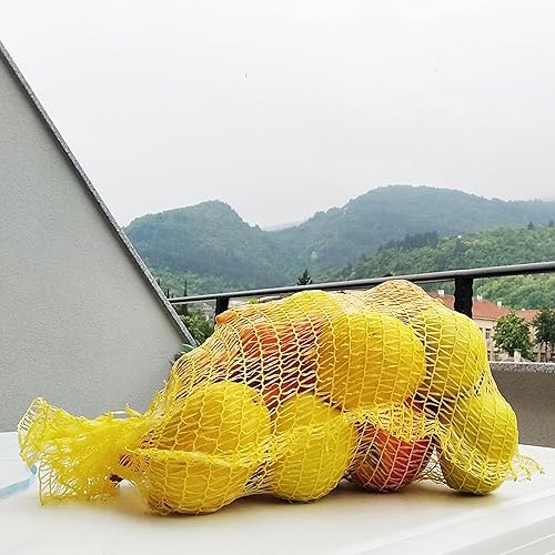 SULIUDAJI 25 Sac en Filet pour Fruits Et Légumes Doignon Sac Bouillir Les Fruits De Mer en Filet Réutilisable Support De Treillis Pastèque De Marché Plante Achats Sacs De Rangement - Nail Gallerys