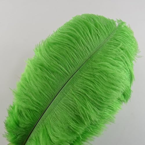 Sowder Lot de 10 plumes d’autruche pour décoration d'intérieur, mariage 30 à 35 cm - Nail Gallerys
