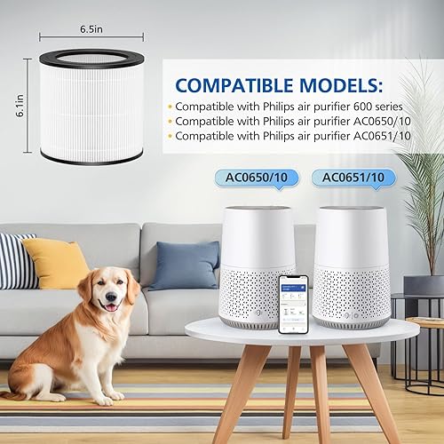FY0611/30 Lot de 2 filtres de rechange compatibles avec les purificateurs d'air Philips 600 Series AC0650/10 et AC0651/10, lot de 2 filtres HEPA H13 (FY0611/30) - Nail Gallerys