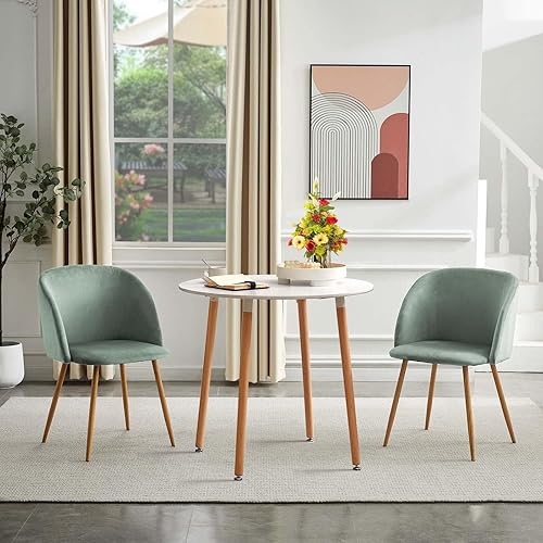 buybyroom Lot de 6 chaises de Salle à Manger Chaise de Salon siège en Daim Chaise de Cuisine avec Pieds en métalpour la Cuisine Salle à Manger Salon Chambre à Coucher,Vert Cactus - Nail Gallerys