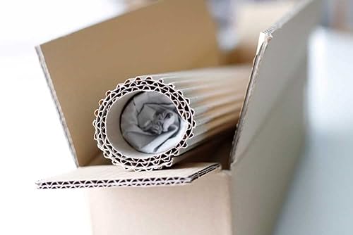 Kunst für Alle Reproduction/Poster: Charles Baron Von Steuben Le Retour de Napoléon de l île d Elbe en février 1815' - Affiche, Reproduction Artistique de Haute qualité, 80x60 cm - Nail Gallerys