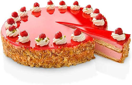 Zenker PURE Moule amovible 24 cm 1 fond. Moule à gâteau ou moule gâteau en acier avec revêtement anti-adhésif ILAG résistant jusqu'à 230 °C, couleur : noir, moule 24 cm, 1 pièce. - Nail Gallerys