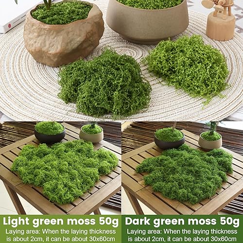 100 g, Mousse Artificielle pour Décorer, Mousse Fausse Herbe Décorative pour Bricolage, Présentation de Table, arrangements floraux, jardin féérique et mariage(foncé 50 g clair 50 g) - Nail Gallerys