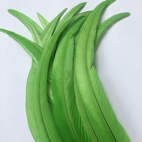 Sowder Coque Queue de coq plumes 16–45,7 cm réalisés par lot de 20 vert citron - Nail Gallerys