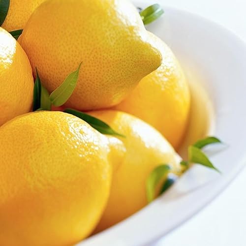 CUCUFA Faux Citrons, 100pcs Mini Citrons artificiels Qui Ont l'air réels, Faux Citrons de Citrons de Cuisine réaliste décoration de Fruits de la Cuisine, Citrons artificiels, Citrons artificiels - Nail Gallerys