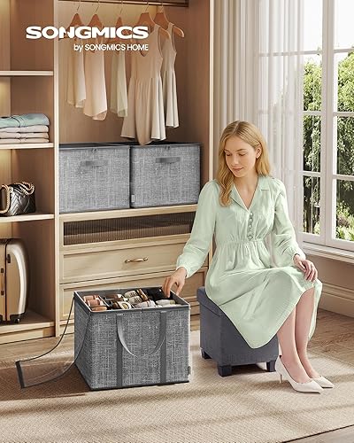 SONGMICS Organisateur de Chaussures, Lot de 2, Chacun jusqu'à 16 Paires, Boîte de Rangement pour Chaussures, Poignées, Couvercle Transparent, pour Chambre, Entrée, Armoire, Gris Jonc LSP602G01 - Nail Gallerys