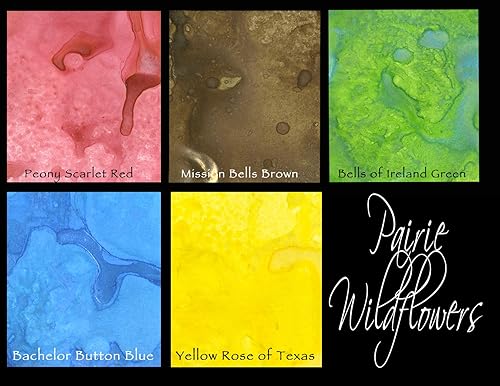 Lindy de Tampon d'encre Starburst Spray Lot de 2 oz Bouteilles 5 kg-Prairie Fleurs Sauvages - Nail Gallerys