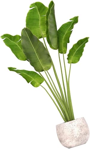 Uonlytech 1 Jeu Sticker Mural Plante En Pot Stickers Muraux Plantes Fraîches Stickers Muraux Nature Plantes Stickers Muraux Décoration Autocollant Maison Frais Pvc 3d Plantes Tropicales - Nail Gallerys