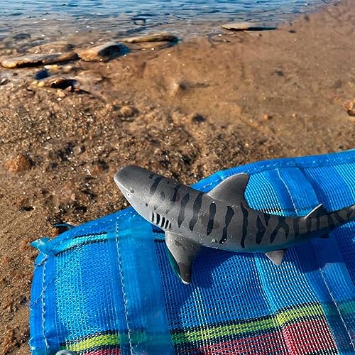 Safari Ltd Requin Tigre 10.7cm | Animal Marin | Non Toxique et sans BPA | Convient aux Enfants à partir de 3 Ans, Gris, Blanc. - Nail Gallerys