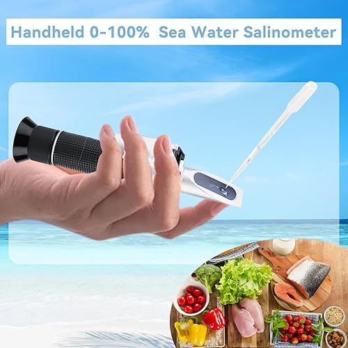 Réfractomètre portable, Outil de Mesure de la Teneur en Alcool Portable, réfractomètre de salinité 0-100% testeur de concentration de sel d'eau mètre pour outils de test - Nail Gallerys