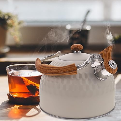 UPKOCH Bouilloire à sifflet en acier inoxydable 2,5 l - Bouilloire à sifflement - Bouilloire à sifflet - Bouilloire à induction - Pour cuisine, camping, pique- , beige - Nail Gallerys