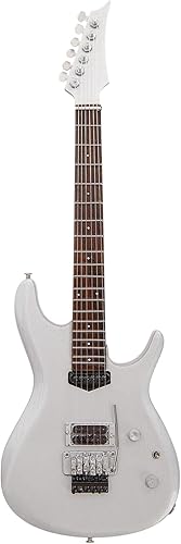 J Satriani – Réplique de Guitare Miniature - Cadeaux de Musique - Ornement Fait à la Main - Nail Gallerys