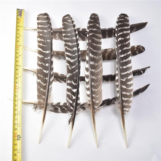 LYFANG Lot de 10 plumes d'aigle naturelles de 15 à 40 cm pour loisirs créatifs, décoration de mariage - Nail Gallerys