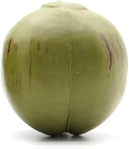 Noix de coco artificielle, décoration réaliste en forme de noix de coco artificielle pour décoration de ferme (14 x 12 x 12 cm) - Nail Gallerys