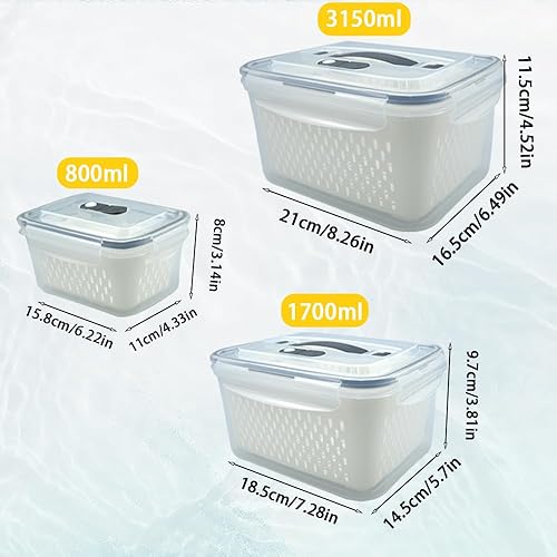 Rongxze Boîte Rangement Organisateur Frigo, Récipient de Conservation Salade Légume Fruit, Boîte Rangement Frigo sans BPA, Fraîcheur Bac Rangement Frigo avec Égouttoir, 3.3L - Nail Gallerys