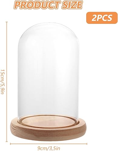 SHUESS Lot de 2 cloches en verre avec fond en bois - 15 cm de haut - Décoration de 9 cm de diamètre - Cloche en verre transparent - Pour lumières, décoration, accessoires d'intérieur - Nail Gallerys