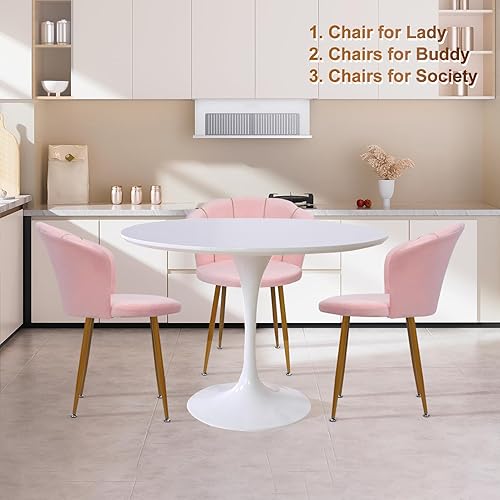 yatuiex Chaise Coiffeuse en Velours tapissée, Fauteuil Coiffeuse avec Pieds dorés, Chaise Coquillage pour Salon Chambre et Salle à Manger, Fauteuil Velours Chaise Rose 44 x 42 x 73 cm - Nail Gallerys