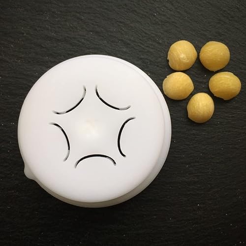 BNN - Avance/Serie 7000 - Orecchiette taille 19mm épaisseur 1mm ASOREC19 - Pasta Disc compatible avec Philips Pasta Maker Avance/Serie 7000 - Nail Gallerys