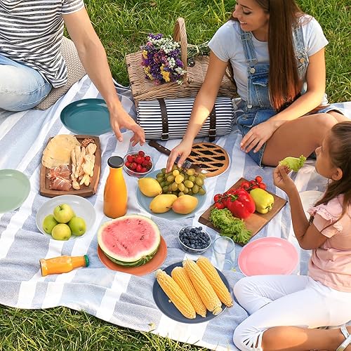 PullinTimes Lot de 8 Assiettes en plastique,22.5CM,Assiettes à Dîner Plastique Réutilisables,Assiettes au Lave-Vaisselle et au Micro-Ondes pour Pizza, Pâtes, Gâteaux, Camping, Pique-nique,8 Colori - Nail Gallerys