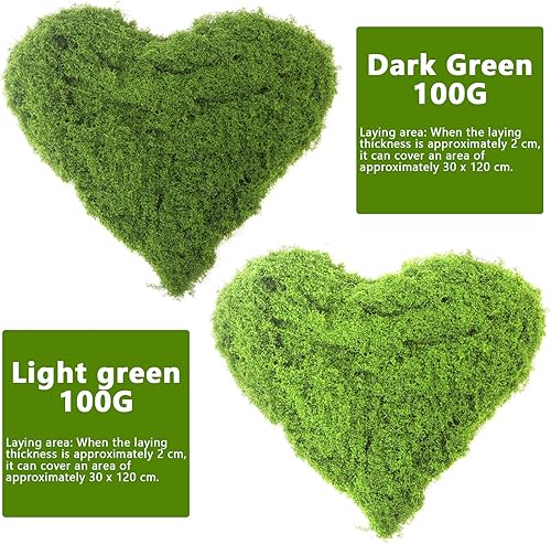 Zefphxs Mousse Plante Artificielle, 200g Fausse Mousse, Réutilisable Mousse Artificielle Decoration pour Noël et la décoration Murale dans la Maison (100g Vert Foncé + 100g Vert Clair) - Nail Gallerys