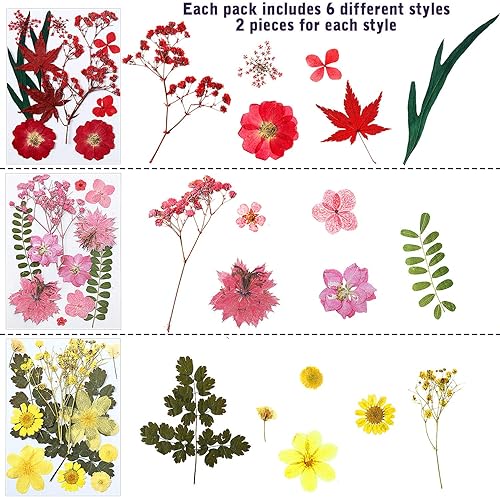 eboot 72 Pcs Fleurs Pressées Séchées Feuilles Sèches Vraies Fleurs Séchées Herbes Naturelles en Vrac Kit pour Scrapbooking DIY Artisanat Bijoux Bougies Savon Décoration d'Ongles (Élégant) - Nail Gallerys