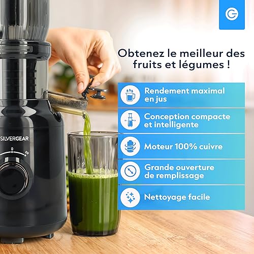 Silvergear® Extracteur de Jus | pour presse-fruits et légumes | centrifugeuse Moteur puissant à 60 tours/minute | Juicer 250 W | Avec Goulotte d'Alimentation de 103mm | Sans BPA | Noir - Nail Gallerys