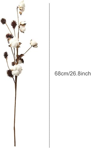 Aisamco Paquet De 3 Tiges De Coton Fermes Décoration Florale Pics Rustique Style Remplisseur De Vase Rustique Coton Branches 68cm par Tige Décoration Fleur - Nail Gallerys
