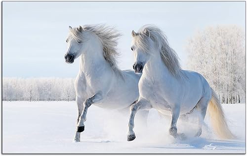 DECLINA Tableau verre acrylique Chevaux dans la neige, Tableau verre acrylique, impression sur Plexis, 80x50 cm - Nail Gallerys