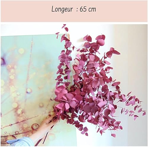 PETALES BOHEME - Bouquet Eucalyptus Stabilisé Grande Tige Branche de 70 cm Eucalyptus séché Naturel Préservé - Variété : Stuartiana pour Mariage Décoration Centre de Table - Artisanat de France - Nail Gallerys